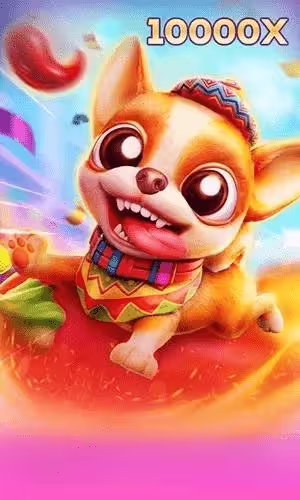 CHILIHUAHUA